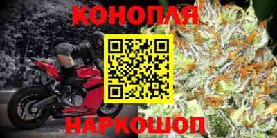 эйфоретик Гусев