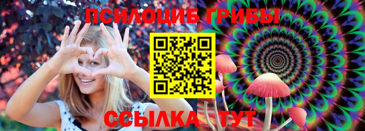Галлюциногенные грибы GOLDEN TEACHER  Псилоцибиновые грибы Psilocybe  Вход с VPN  Медногорск 