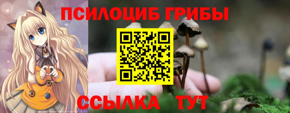 Галлюциногенные грибы GOLDEN TEACHER Медногорск